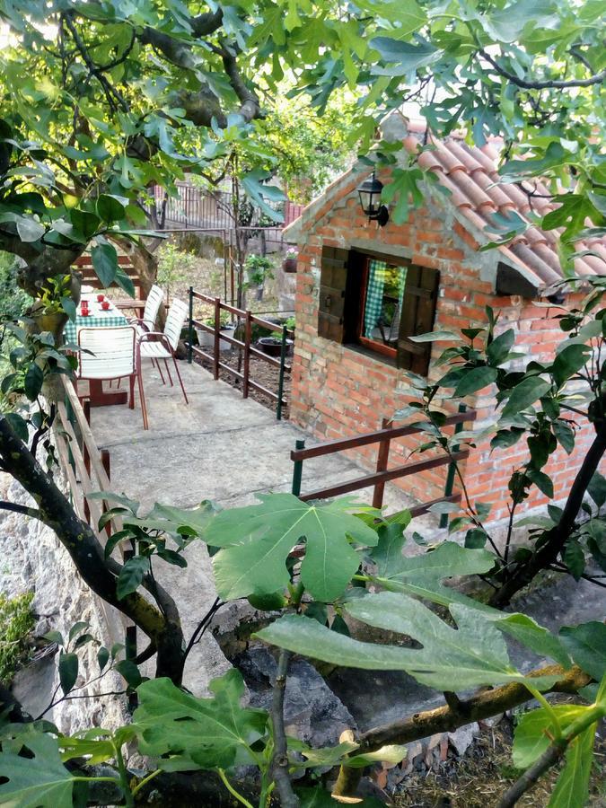 Apartment Lidija Herceg Novi Kültér fotó